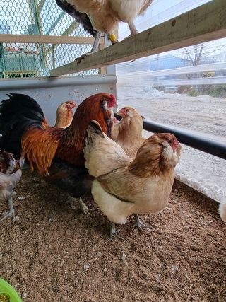 이병철님의 자유주제 · 자유게시판 작성글 사진