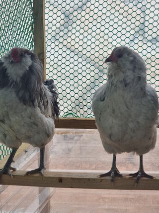 이병철님의 자유주제 · 자유게시판 작성글 사진