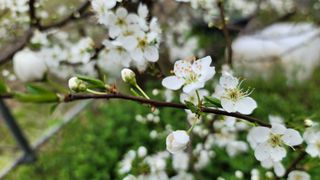 신선고을농원님의 자유주제 · 사진전 작성글 사진