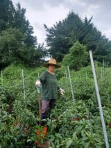 팜모닝 팜모닝·출석 게시글 이미지