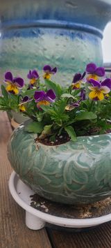 팜모닝 자유주제·자유게시판 게시글 이미지