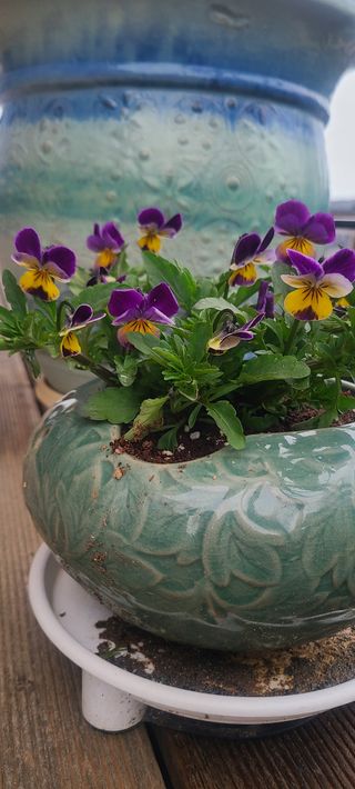 윤양현님의 자유주제 · 자유게시판 작성글 사진