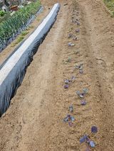 팜모닝 자유주제·자유게시판 게시글 이미지