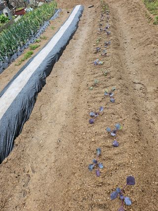 사랑녀님의 자유주제 · 자유게시판 작성글 사진