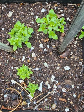 사랑녀님의 자유주제 · 자유게시판 작성글 사진