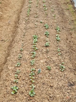 사랑녀님의 자유주제 · 자유게시판 작성글 사진