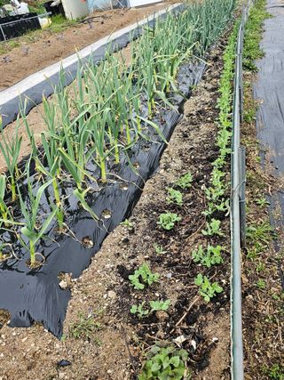 사랑녀님의 자유주제 · 자유게시판 작성글 사진