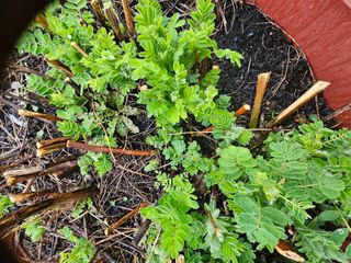 사랑녀님의 자유주제 · 자유게시판 작성글 사진