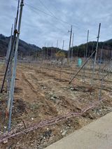 팜모닝 자유주제·자유게시판 게시글 이미지