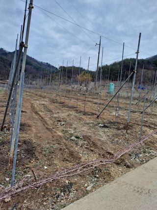 황영래님의 자유주제 · 자유게시판 작성글 사진