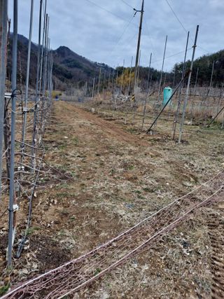 황영래님의 자유주제 · 자유게시판 작성글 사진