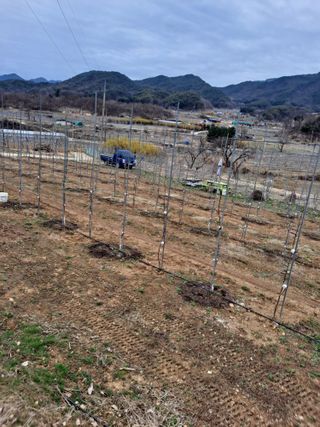 황영래님의 자유주제 · 자유게시판 작성글 사진