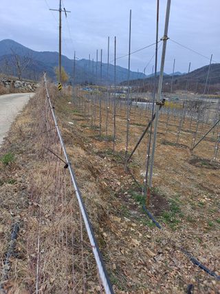 황영래님의 자유주제 · 자유게시판 작성글 사진