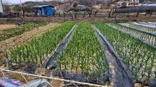 정회환 님의 자유주제 · 자유게시판 작성글 사진