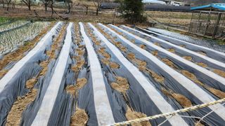 정회환 님의 자유주제 · 자유게시판 작성글 사진