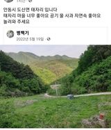 팜모닝 자유주제·칭찬해요 게시글 이미지