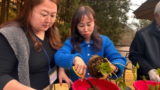 치유숲모이라양재순님의 자유주제 · 자유게시판 작성글 사진