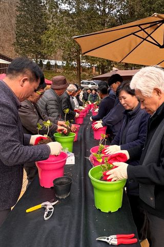 치유숲모이라양재순님의 자유주제 · 자유게시판 작성글 사진
