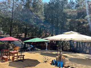 치유숲모이라양재순님의 자유주제 · 자유게시판 작성글 사진