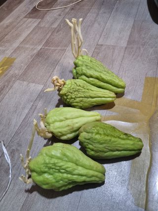 풍요님의 자유주제 · 자유게시판 작성글 사진