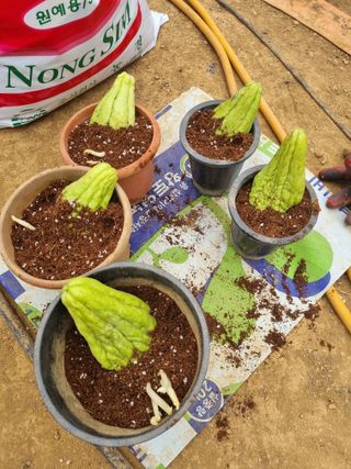 풍요님의 자유주제 · 자유게시판 작성글 사진