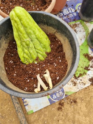 풍요님의 자유주제 · 자유게시판 작성글 사진