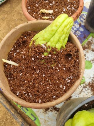 풍요님의 자유주제 · 자유게시판 작성글 사진