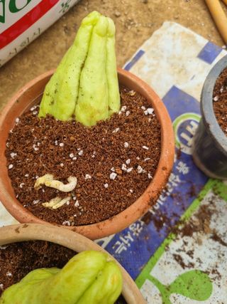 풍요님의 자유주제 · 자유게시판 작성글 사진