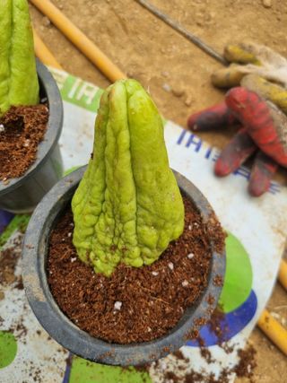 풍요님의 자유주제 · 자유게시판 작성글 사진