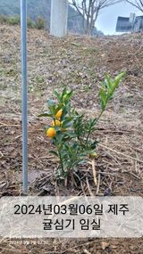 팜모닝 4월 농사계획 공유해요·참여글 게시글 이미지