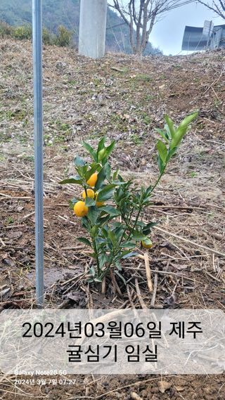 제일시스템님의 4월 농사계획 공유해요 · 참여글 작성글 사진