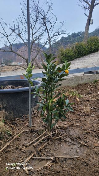 제일시스템님의 4월 농사계획 공유해요 · 참여글 작성글 사진