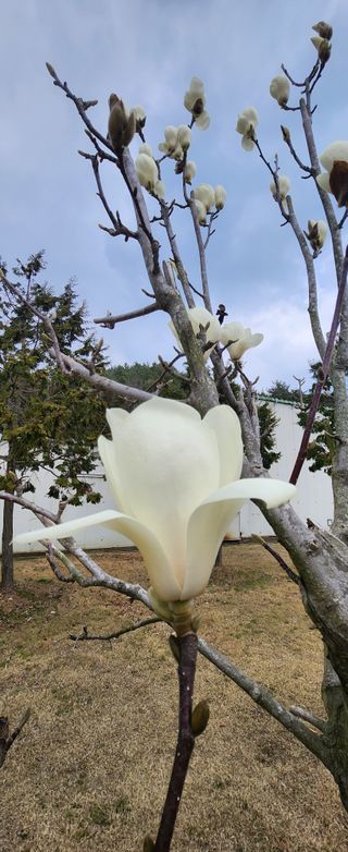 이충환님의 자유주제 · 사진전 작성글 사진