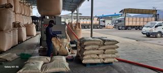 사천시향촌동 돼지띠님의 선도농가에 선정된 소감은? · 참여글 작성글 사진