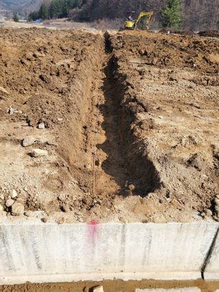 약초꾼님의 자유주제 · 자유게시판 작성글 사진