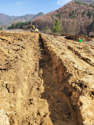 약초꾼님의 자유주제 · 자유게시판 작성글 사진