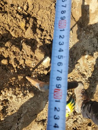 약초꾼님의 자유주제 · 자유게시판 작성글 사진