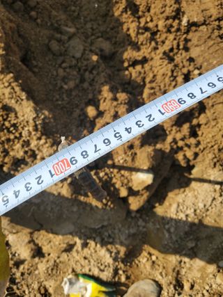 약초꾼님의 자유주제 · 자유게시판 작성글 사진