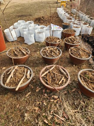 홍승한님의 4월 농사계획 공유해요 · 참여글 작성글 사진