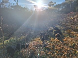 홍승한님의 4월 농사계획 공유해요 · 참여글 작성글 사진