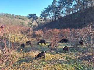 홍승한님의 4월 농사계획 공유해요 · 참여글 작성글 사진