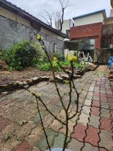 팜모닝 자유주제·자유게시판 게시글 이미지