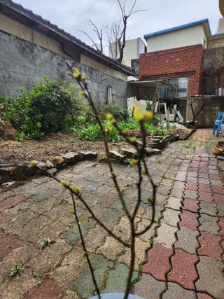 지훈님의 자유주제 · 자유게시판 작성글 사진