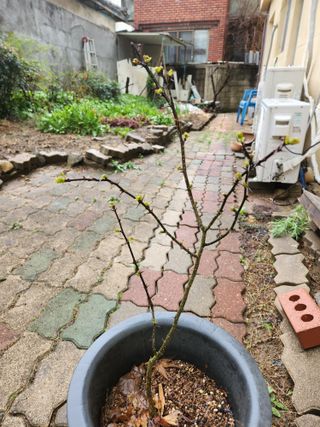 지훈님의 자유주제 · 자유게시판 작성글 사진