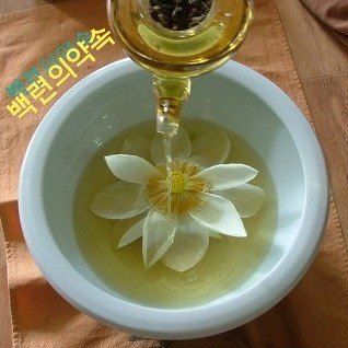 백련지기님의 장터 판매 상품 [연근종근ㅡ연모종] 첨부 사진