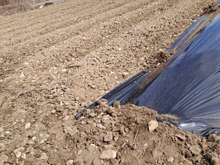 제현숙드림버섯농장님의 자유주제 · 자유게시판 작성글 사진