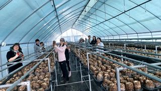 제현숙드림버섯농장님의 자유주제 · 자유게시판 작성글 사진