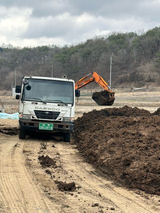 이재운님의 감자 · 영농일지 작성글 사진