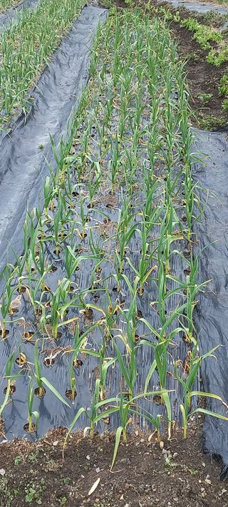 장도리님의 자유주제 · 자유게시판 작성글 사진