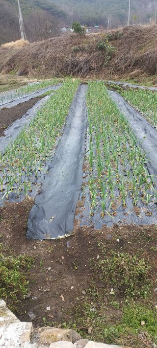 장도리님의 자유주제 · 자유게시판 작성글 사진